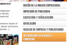 Diseño de la página web, captura 2