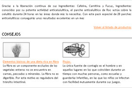Captura de diseño de la página web 1